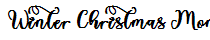 Winter Christmas Monogram